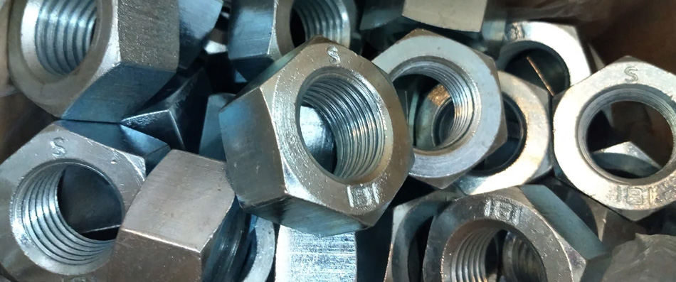 Stainless Steel 304/304H/304L Nuts