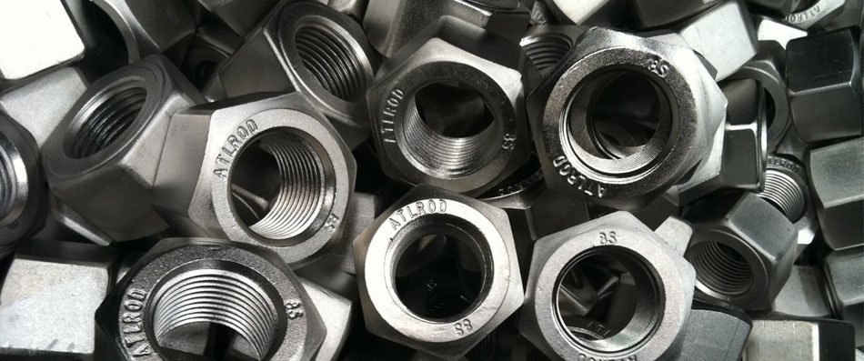 Stainless Steel 310/310S Nuts