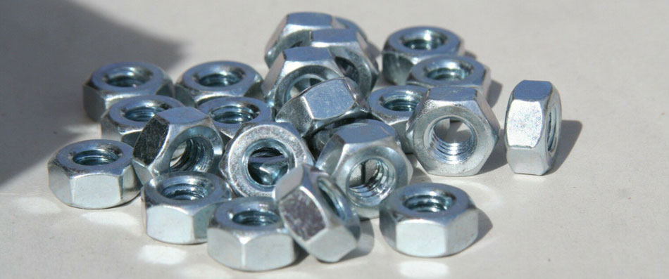 Stainless Steel 316/316L Nuts