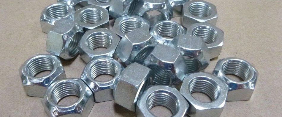 Stainless Steel 317 / 317L Fasteners
