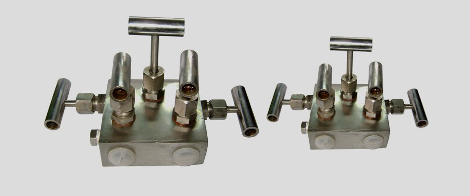 Stainless Steel 904L Manifold Valves