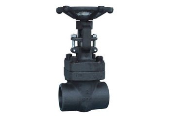 Carbon Steel Forged Globe Valve