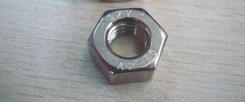 Hastelloy C276 Hex Nuts