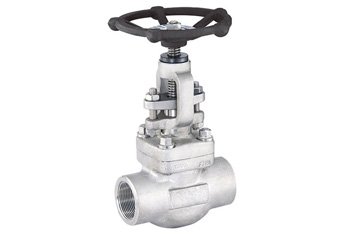 Stainless Steel Forged Globe Valve